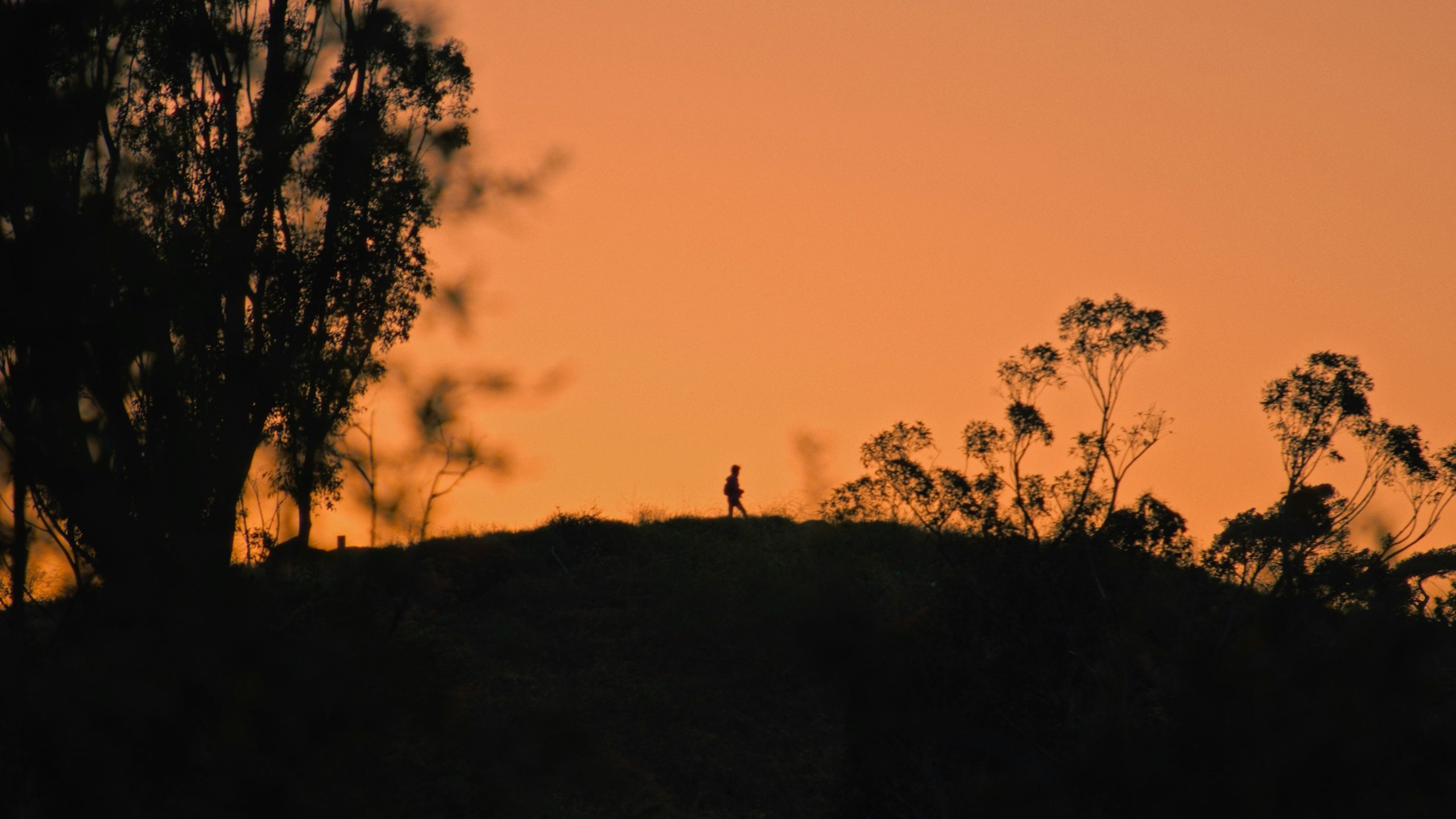 Cropped image of a hiker holding up their wrist-mounted hiking watch during sunset