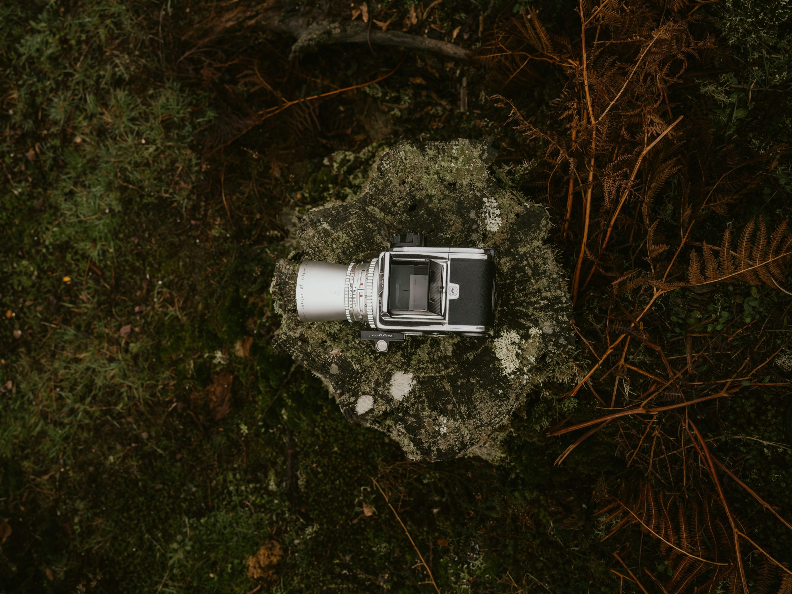 A hiker adjusting their wristwatch near a trail marker.
