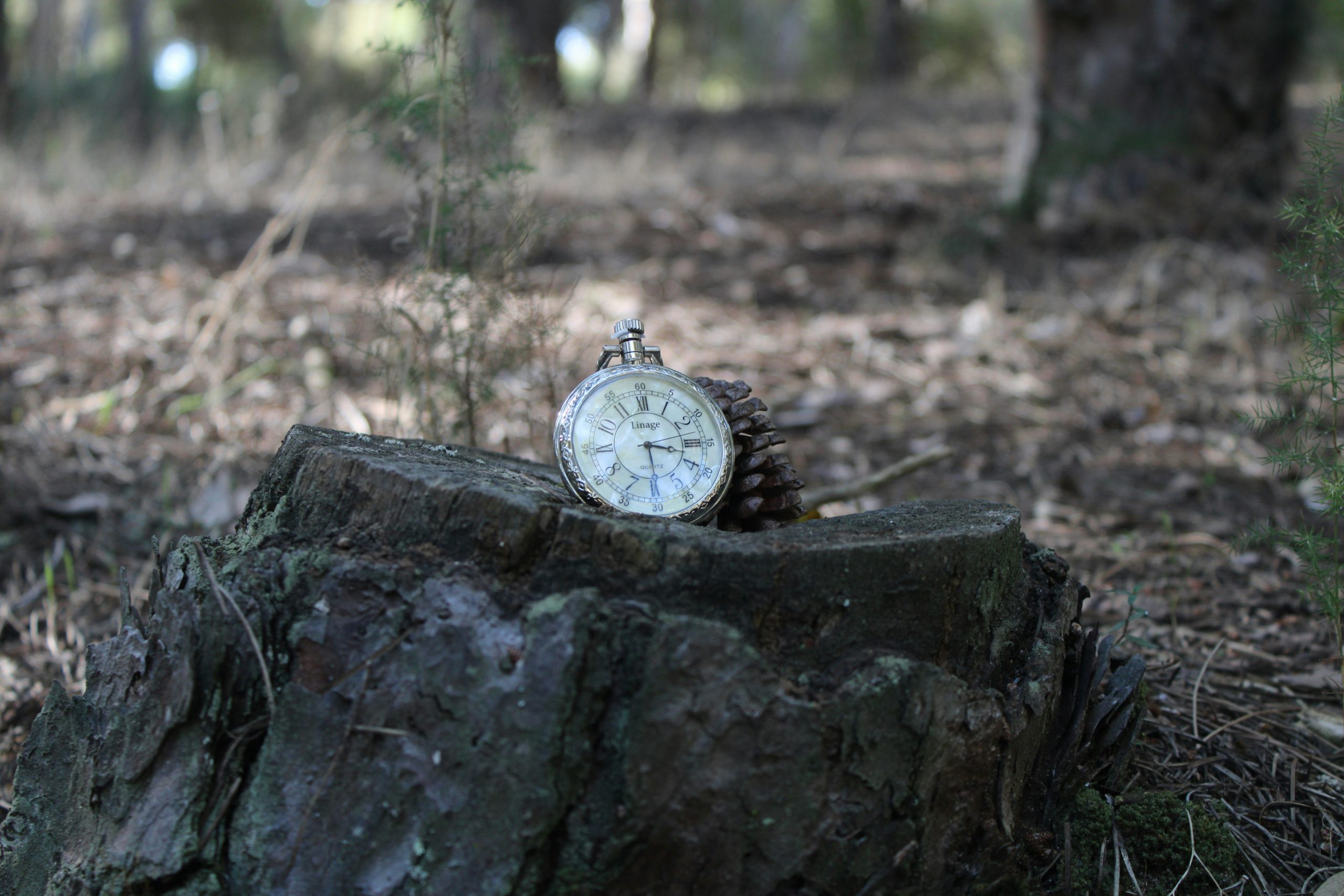 The Ultimate Guide to Choosing the Best Trail Watch for Your Adventures