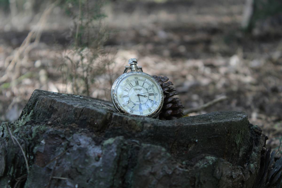 Climber posing with outdoor watch atop peak