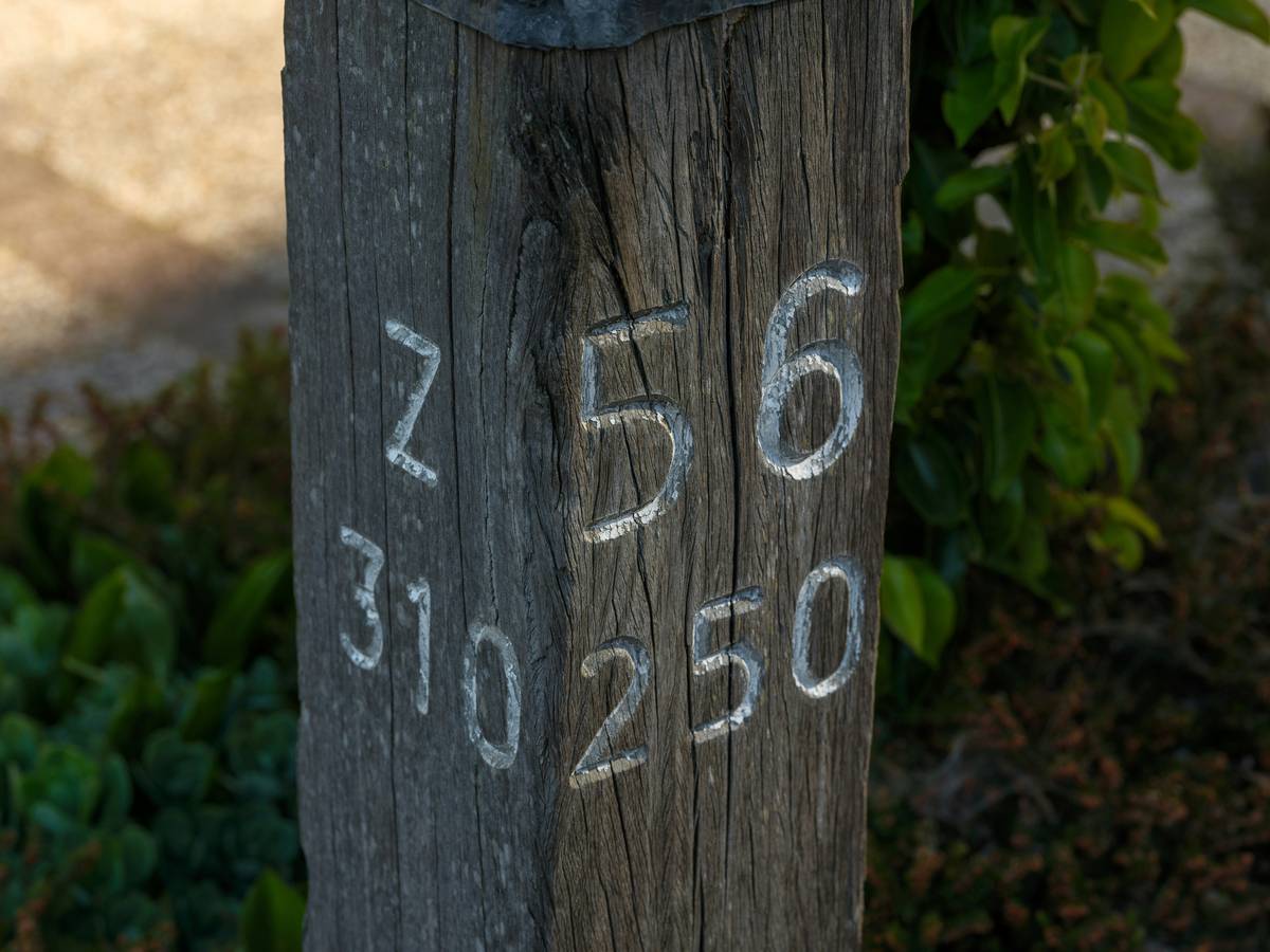 A close-up image showing the interface of a modern watch altimeter during calibration mode.