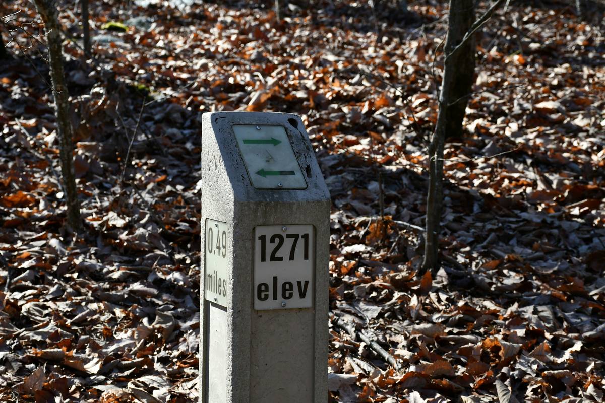 Diagram showing components of a watch altimeter and points prone to wear.