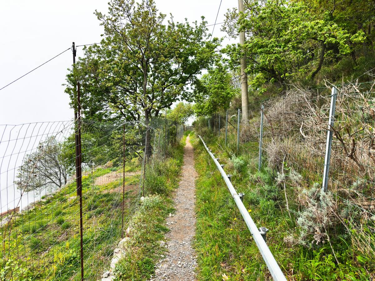 Infographic explaining altimeter noise floor measurement and factors contributing to noise