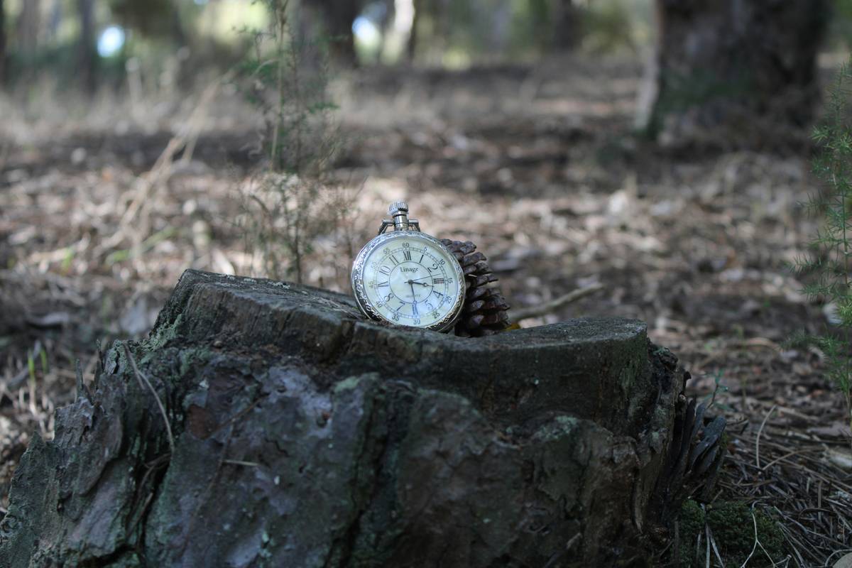 Outdoor Enthusiast Standing Proudly Atop Summit with Altimeter Watch on Wrist