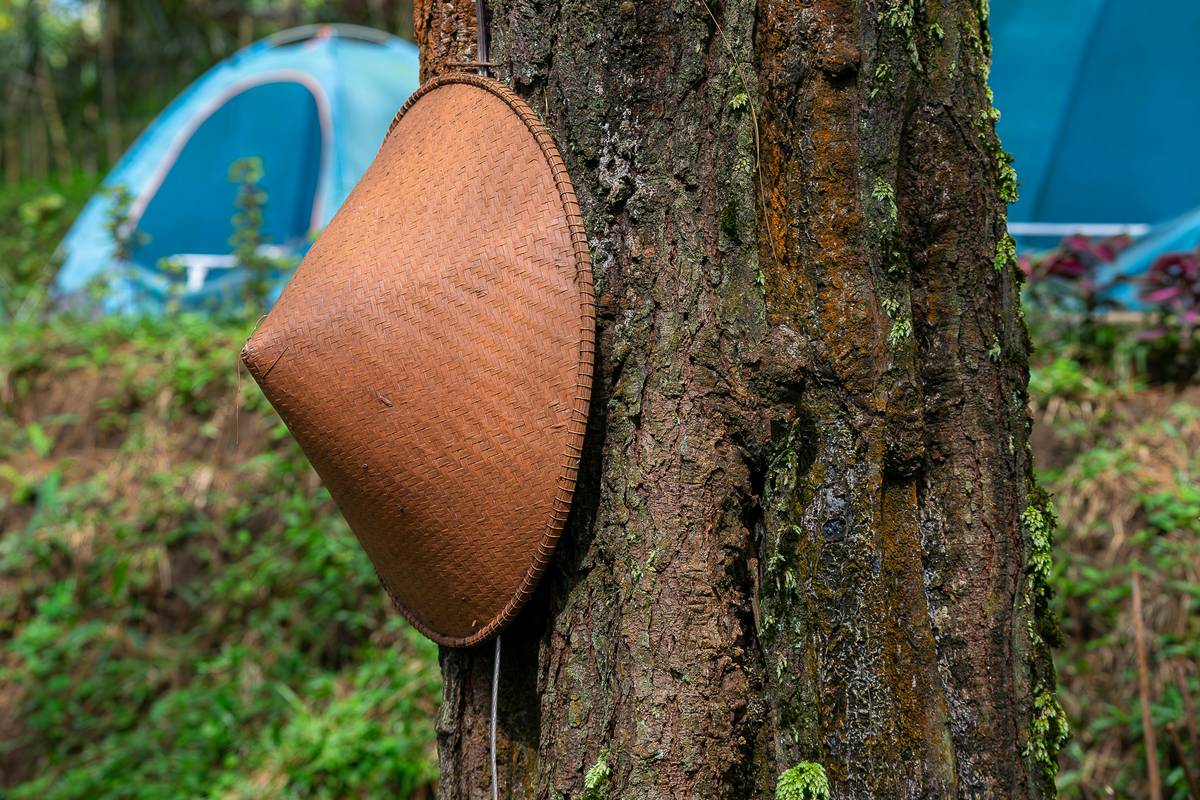 Ultimate Guide Hiking Watch: How to Choose and Use the Best Watch Altimeter for Your Adventures