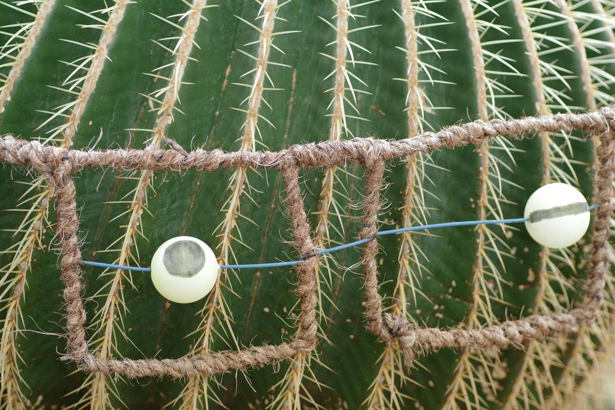 Hiking Altimeter Guide: How to Choose the Best Watch for Your Adventures